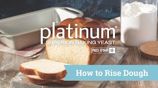 How To Rise or Proof Yeast Dough [upl. by Mallen]