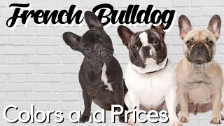 Standard and Exotic French Bulldog Colors Explained  PRICE BREAKDOWN [upl. by Leuqim]