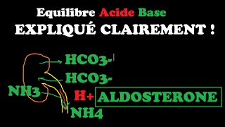 🔴 EQUILIBRE ACIDEBASE EXPLIQUÉ TRÈS CLAIREMENT   DR ASTUCE [upl. by Laurella31]