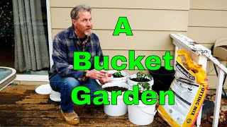 How to Garden in a Bucket [upl. by Falda]