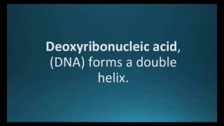 How to pronounce deoxyribonucleic acid DNA Pharmcabulary for Memorizing Pharmacology Flashcard [upl. by Ttocserp720]