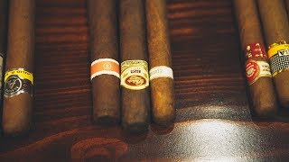 Understanding Cigars [upl. by Harriett]