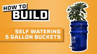 How to Build Self Watering 5 Gallon Buckets [upl. by Anidualc]