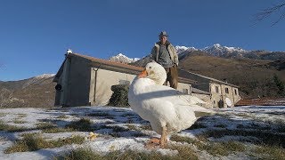 Il fascino della solitudine [upl. by Asilehc]