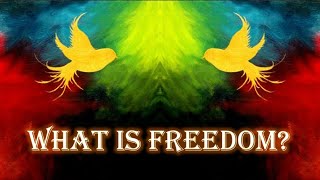 WHAT IS FREEDOM [upl. by Neerihs437]