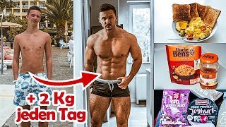 Schnell Zunehmen  6000 kcal einfach essen  Masseaufbau Anleitung [upl. by Kloman561]