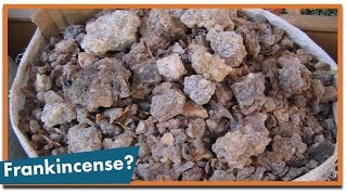 What Are Frankincense and Myrrh [upl. by Scales512]