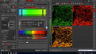 Leica SPE Microscope Tutorial [upl. by Rohn]