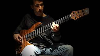 6 String Fretless  The Talking Forest [upl. by Tallou481]