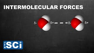 Intermolecular Forces [upl. by Dazhehs602]