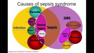 What Is Shock  Shock Pathophysiology  Shock Part 1 [upl. by Eel591]