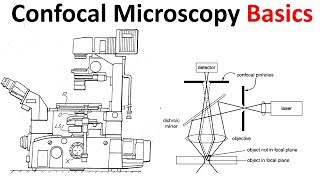 Confocal microscopy Basics [upl. by Xxam]