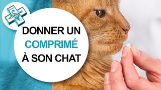 Tuto véto Comment donner un médicament à son chat  Conseils vétérinaires [upl. by Ilehs]