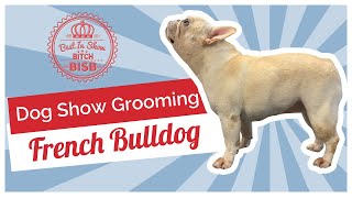 Dog Show Grooming How To Groom a French Bulldog [upl. by Sams739]