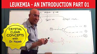 Leukaemia vs Lymphoma  An introduction [upl. by Shoifet]