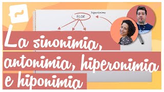 La sinonimia antonimia hiperonimia e hiponimia [upl. by Merriman]