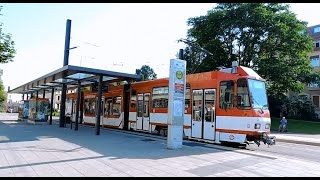 Straßenbahn und Busverkehr in Cottbus [upl. by Licha]