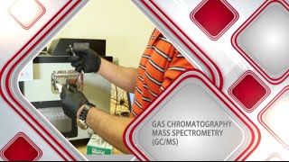 Gas ChromatographyMass Spectrometry [upl. by Milburn]