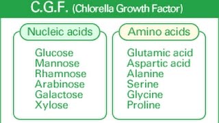 5 Hidden Benefits of Chlorella Growth Factor [upl. by Yentuoc]