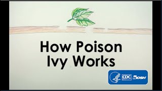 How Poison Ivy Works [upl. by Salvatore]