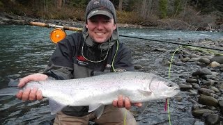 BC Steelhead Fly Fishing  Skeena River British Columbia [upl. by Bertold]