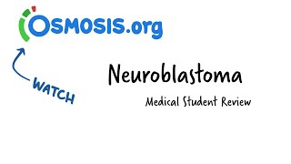 NEUROFIBROMA AND SCHWANNOMA Clinical features amp Morphology [upl. by Samtsirhc114]