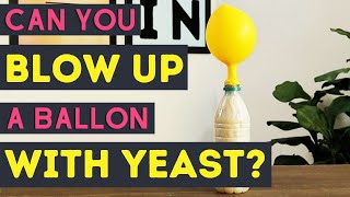 Yeast Balloon Experiment [upl. by Koeppel]