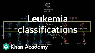 Leukemia diagnosis  Hematologic System Diseases  NCLEXRN  Khan Academy [upl. by Nodnarg]