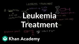 Chronic Lymphocytic Leukemia What Happens at Progression [upl. by Asiled]