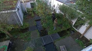 Scandinavische tuin  EIGEN HUIS amp TUIN [upl. by Nerwal480]