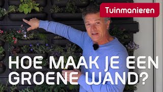 Hoe maak je een groene wand Tuinaanleg  Tuinmanieren [upl. by Aihsenrad]