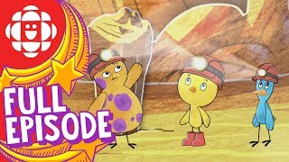 Chirp  Journey to the Cave of Wonders  CBC Kids [upl. by Chilton171]