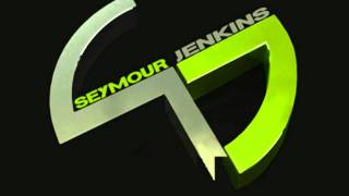 Avicii vs Wynter Gordon  Dirty Levels Seymour Jenkins Bootleg [upl. by Nwahsiek]