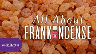 All About Frankincense  Young Living Essential Oils [upl. by Artim218]