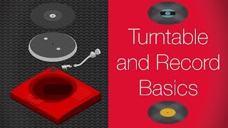 Turntable Setup and Basics for Absolute Beginners [upl. by Eedahs]