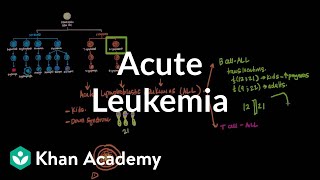 Tumor Immunology Leukemia Lymphoma amp Myeloma – Immunology  Lecturio [upl. by Dirgni]