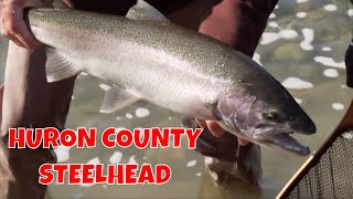 Huron County Steelhead  Ontario [upl. by Nnylatsyrk]