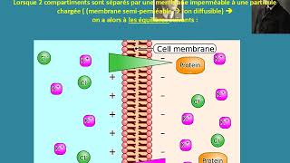 Biophysique A11  équilibre de Donnan [upl. by Erlandson525]