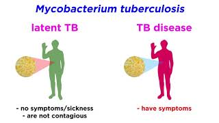 MultidrugResistant Tuberculosis MDRTB Mycobacterium tuberculosis [upl. by Manolo]