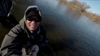 Steelhead Fishing  Where to fish on the Grand River [upl. by Rudman616]