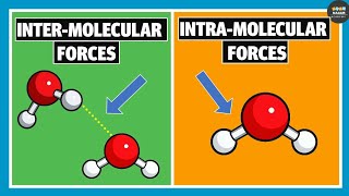 Intermolecular Forces and Intramolecular Forces  Chemistry [upl. by Sellma586]