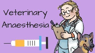 An introduction to veterinary anaesthesia [upl. by Nemaj]