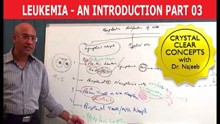 Leukemia classifications  Hematologic System Diseases  NCLEXRN  Khan Academy [upl. by Haon]