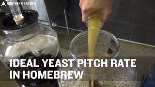 Ideal Yeast Pitch Rate for Homebrew [upl. by Fleischer431]