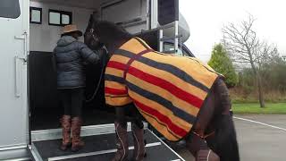 Why choose an EquiTrek horsebox [upl. by Theodoric]