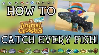 How To Catch Every Fish in Animal Crossing New Horizons  New Horizons Fishing Guide [upl. by Esinel372]