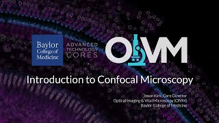 Introduction to Confocal Microscopy [upl. by Lejna]