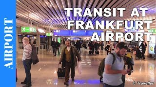 TRANSIT WALK AT FRANKFURT Airport FRA Terminal 1  Connection Flight Transfer Arriving amp Departing [upl. by Sclar558]