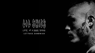 LIL SKIES  Lettuce Sandwich prod Menoh Beats Official Audio [upl. by Ranna]