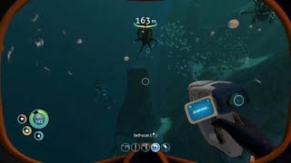 Curing the Infection in Subnautica [upl. by Arikehs448]